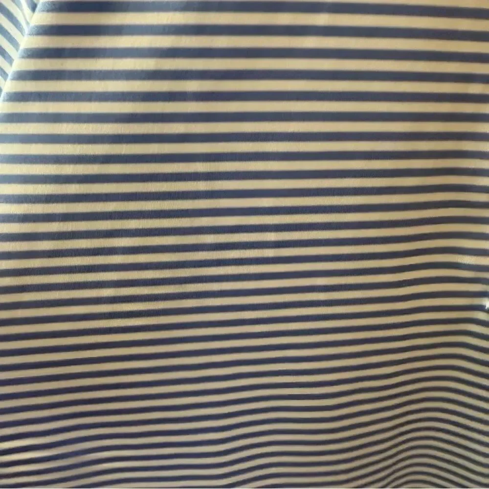 Ralph Lauren Blue and White Striped Polo Shirt Preppy